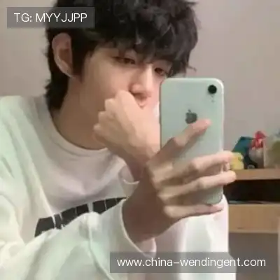秦枫